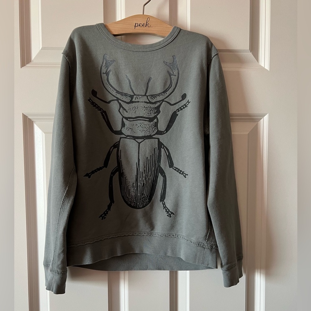 Peek kids beetle sweatshirt